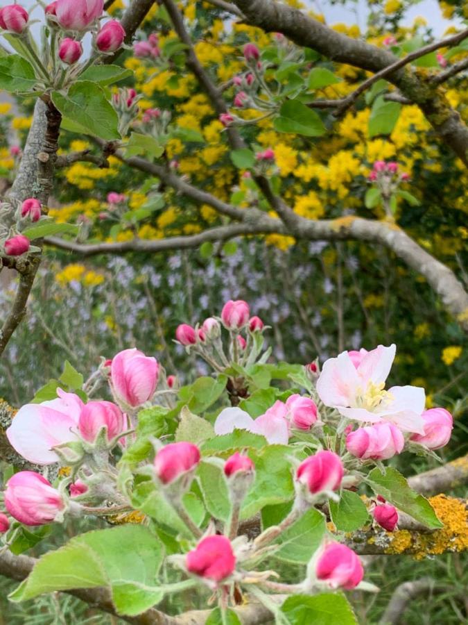 Ecole De Mathuna De Marigny Brizay エクステリア 写真